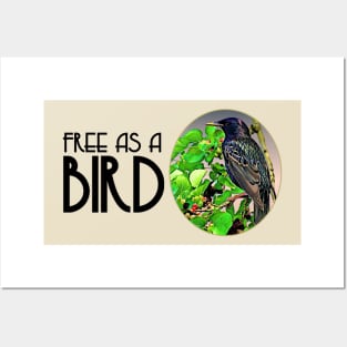 Free as a BIRD Posters and Art